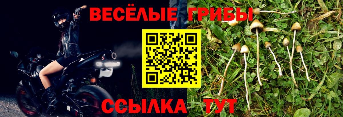 Где найти наркотики?  КЕТАМИН  Alpha PVP СОЛЬ кристаллы  Грязи  Конопля  Cocaine  Меф   Вход с VPN  NBOMe 